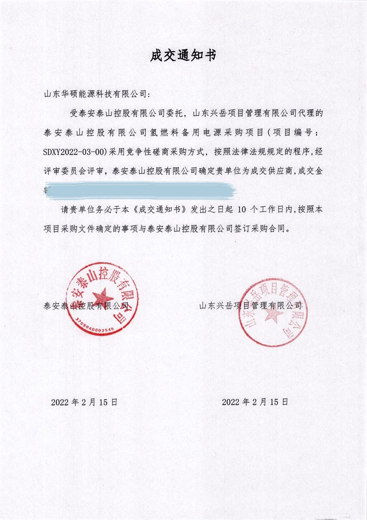 泰安泰山控股有限公司氢燃料备用电源项目